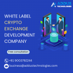 white label crypto exchange development company (1).png